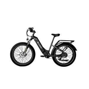 KKeBike Big Fat Wheel – Black