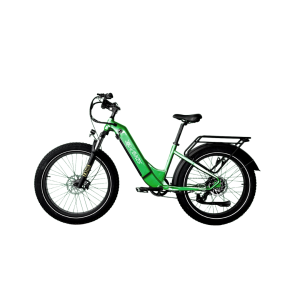 KKeBike Big Fat Wheel – Mint Green